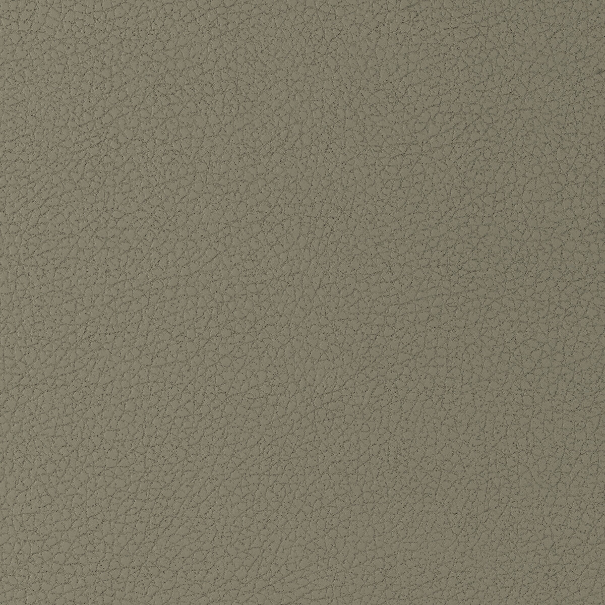 genslar16160-kravet-design-genslar-1616-kravet-design