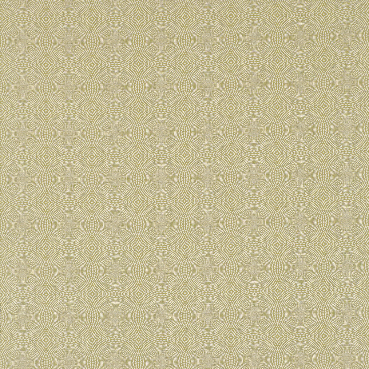 nspw131243scn0-kateri-lime-scion