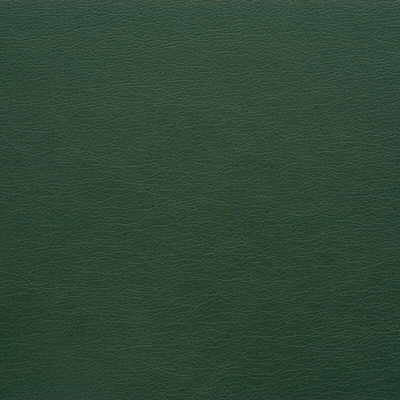 gato3030-kravet-design-gato-303-kravet-design