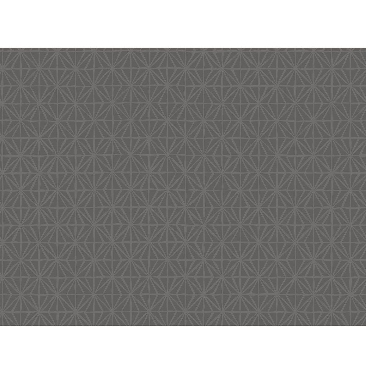 wtp4047wt0-segue-warm-slate-winfield-thybony - WINFIELD THYBONY Wallpaper