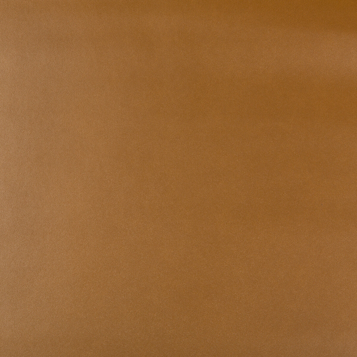 frankel6240-kravet-design-frankel-624-kravet-design
