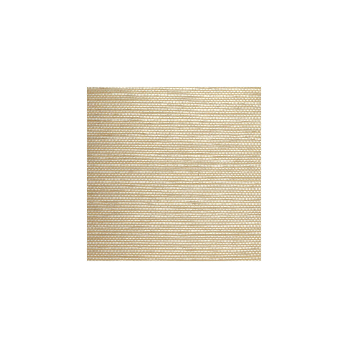wbg5101wt0-plain-grounds-0-winfield-thybony