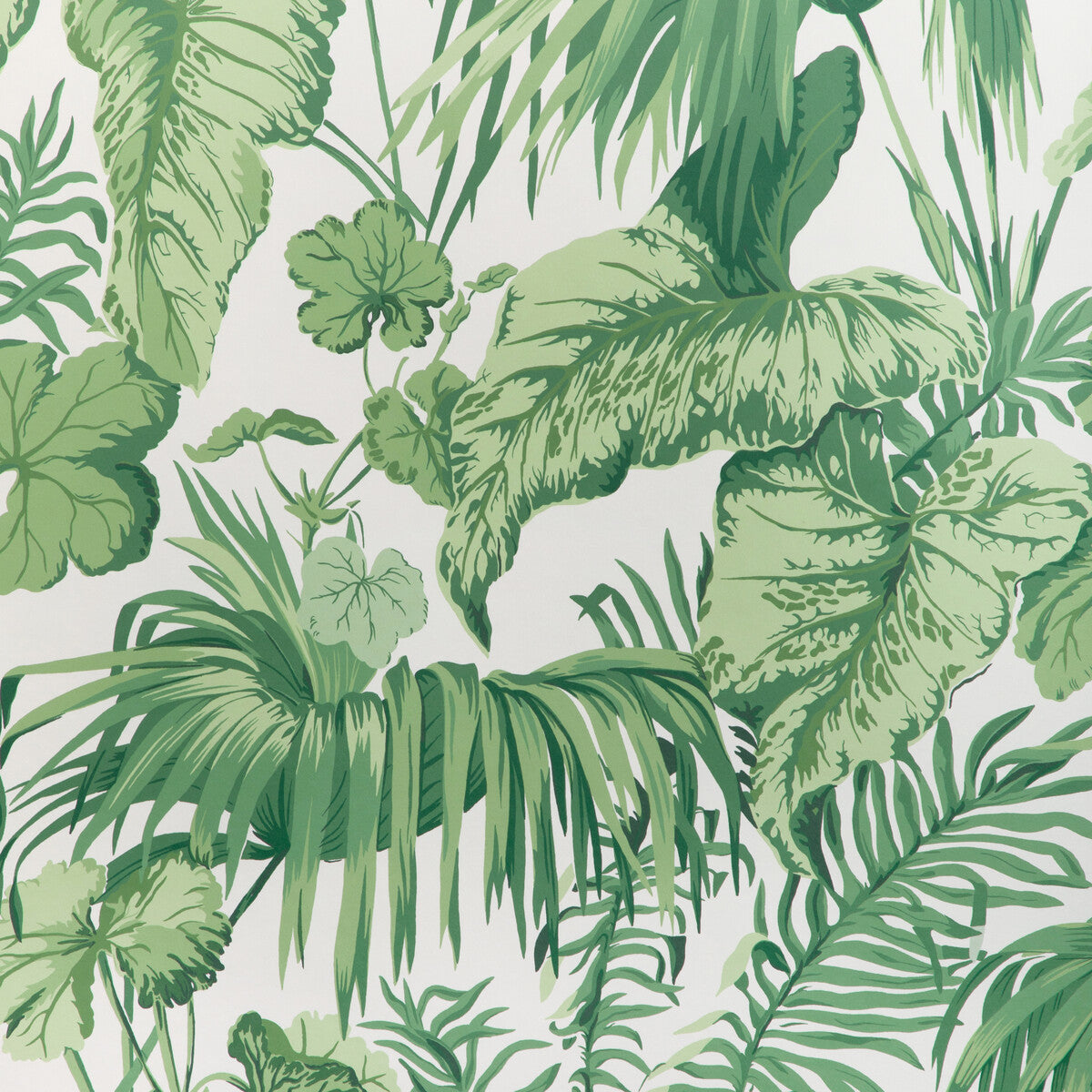 w4145310-yasuni-wp-verde-kravet-couture - KRAVET COUTURE Wallpaper
