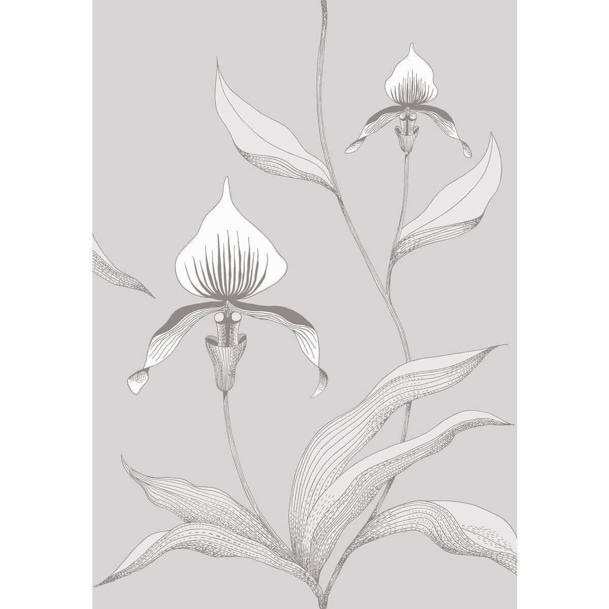 9510055cs0-orchid-greywhite-cole-son - COLE & SON Wallpaper