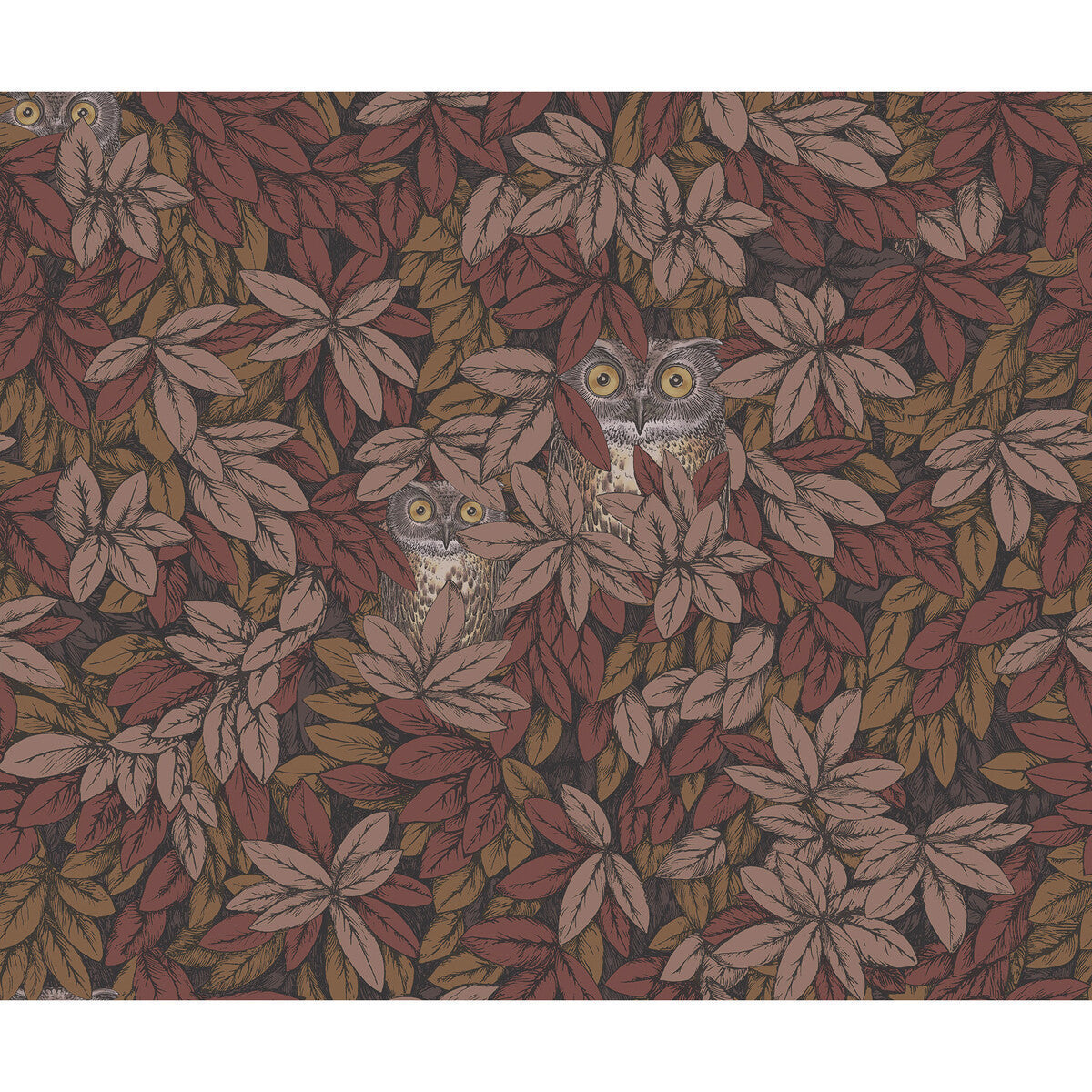 12311055cs0-foglie-e-civette-autumnal-cole-son