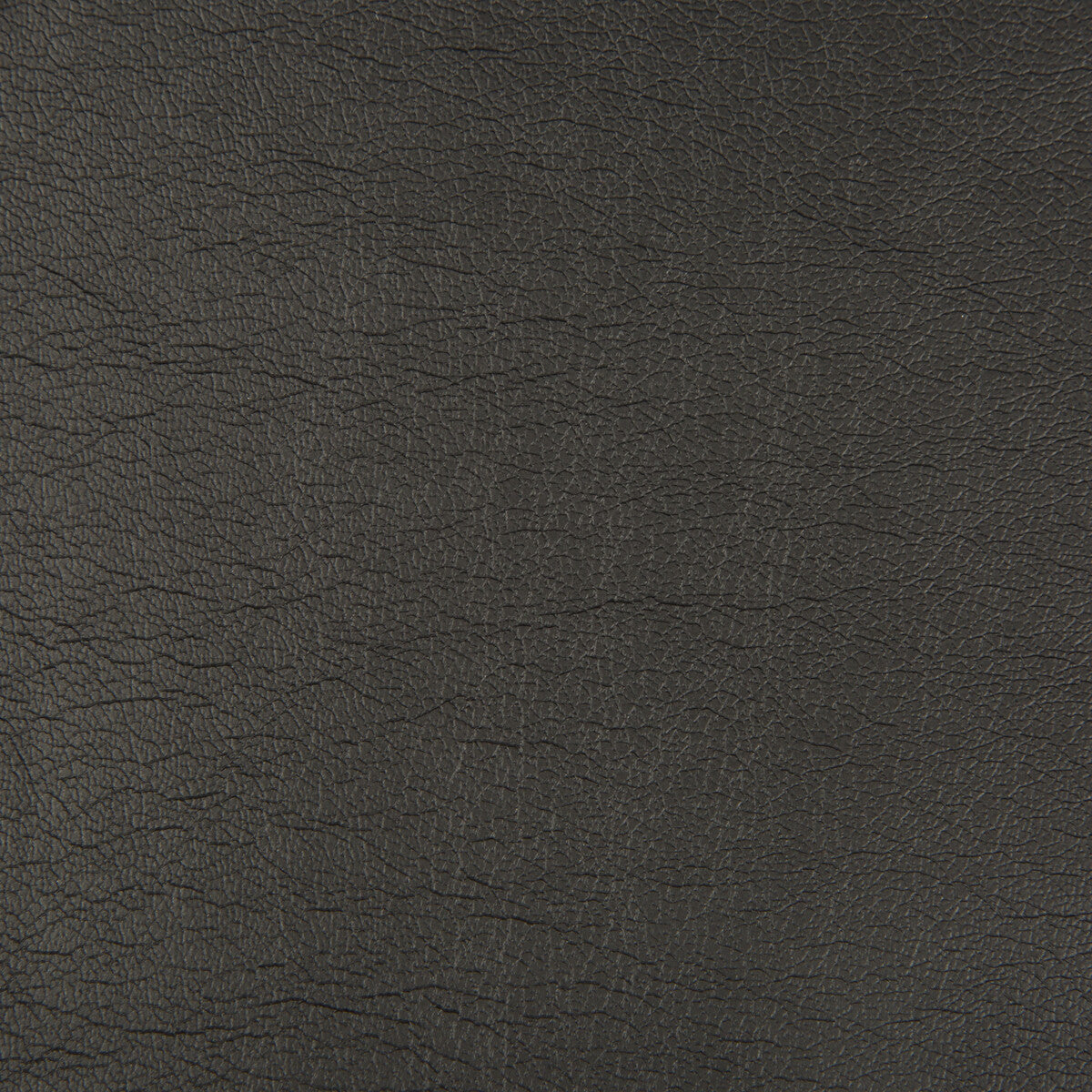 optima80-optima-jet-kravet-contract