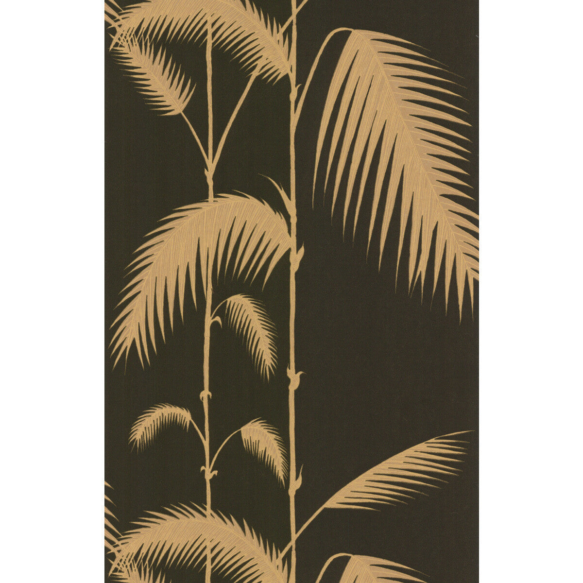 662014cs0-palm-leaves-blackt-cole-son - COLE & SON Wallpaper
