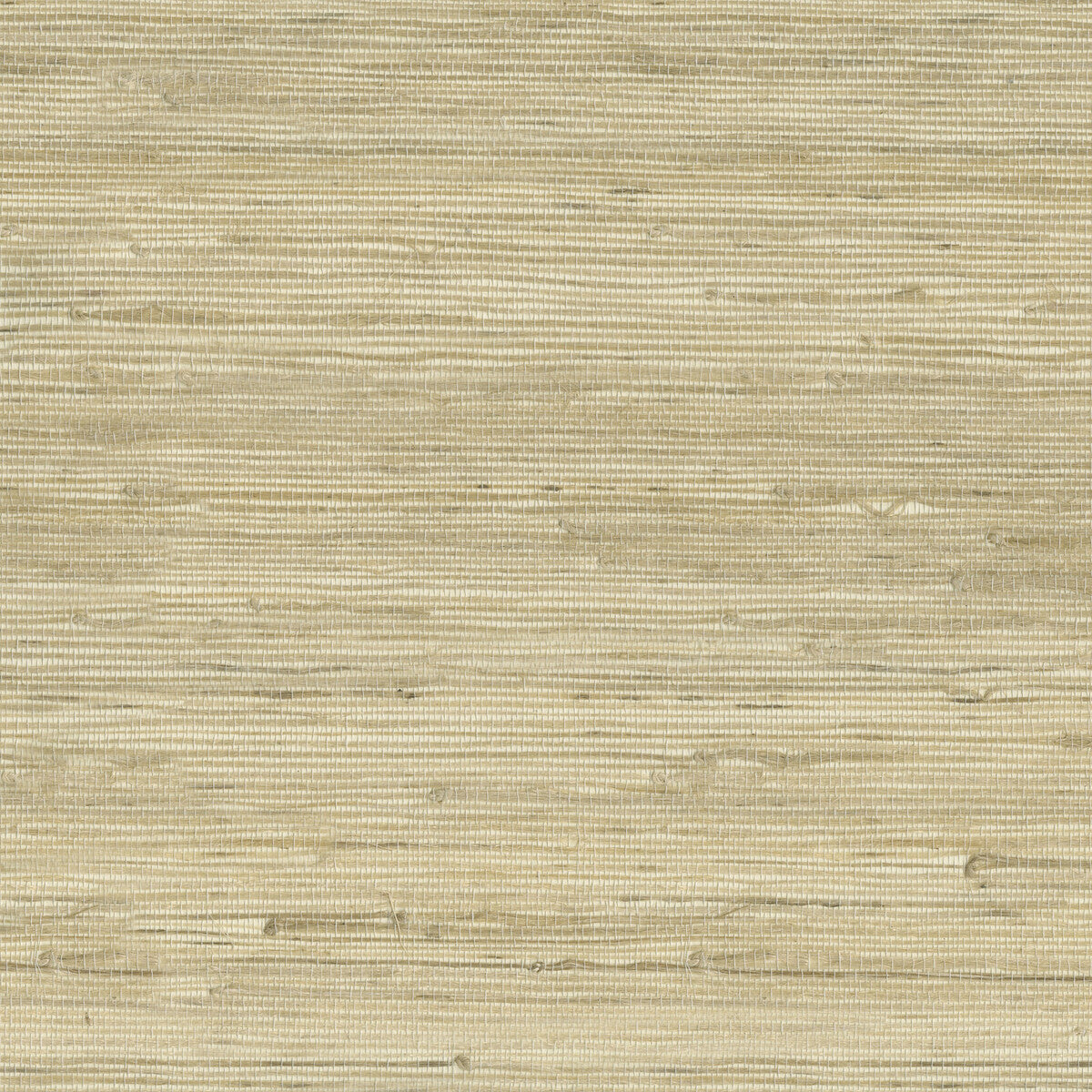 w3566160-kravet-design-w3566-16-kravet-design - KRAVET DESIGN Wallpaper
