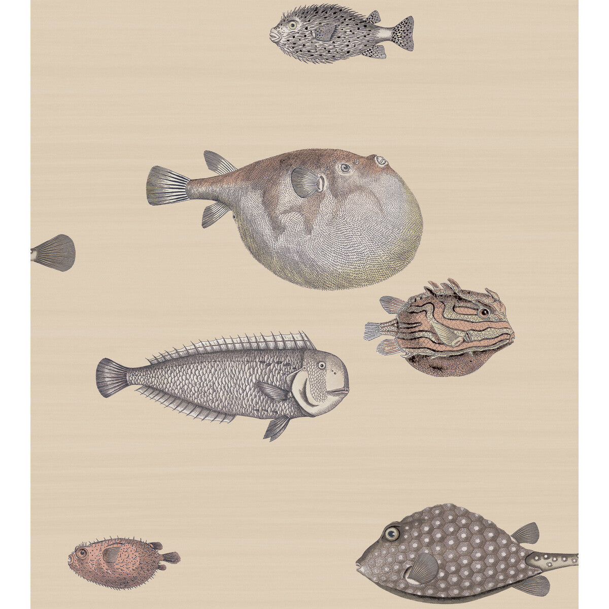 11416033cs0-acquario-taupe-cole-son