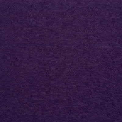 gato100-kravet-design-gato-10-kravet-design