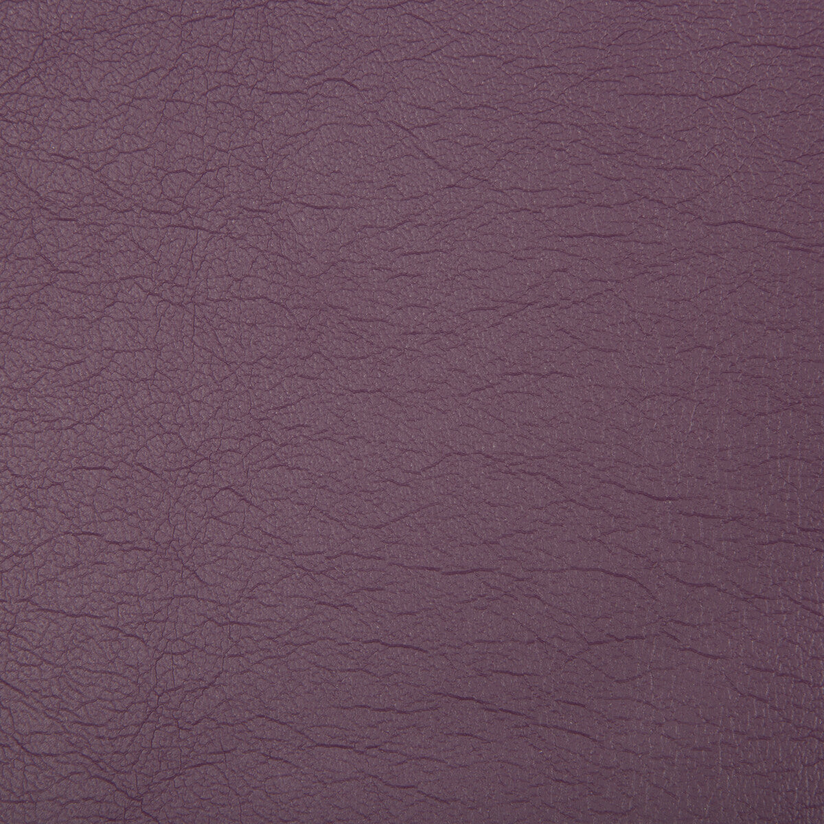 optima100-optima-jam-kravet-contract