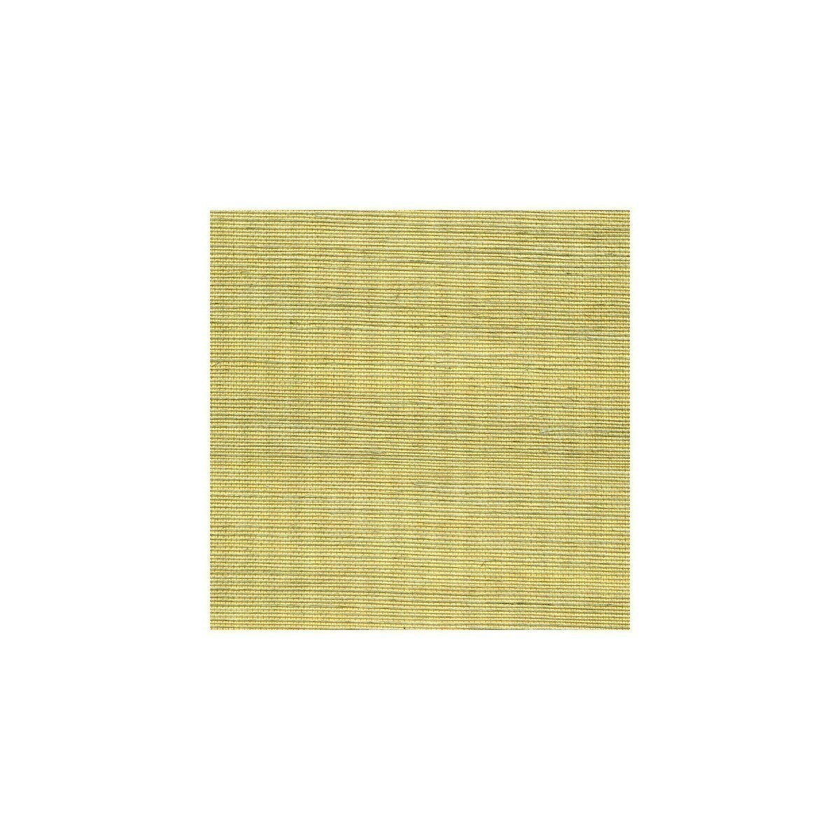 wss4528wt0-metallic-sisal-lemon-grass-winfield-thybony - WINFIELD THYBONY Wallpaper
