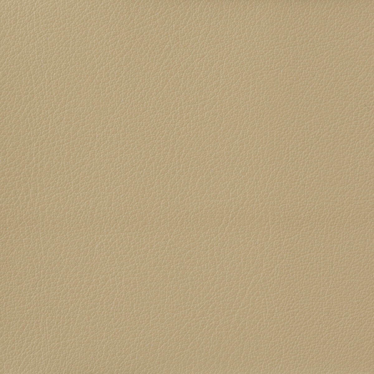 otto1160-kravet-basics-otto-116