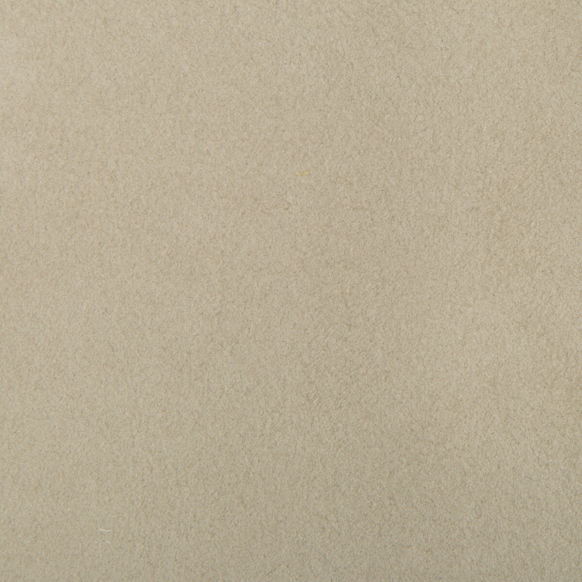 ultrasuede1110-ultrasuede-chalk-kravet-design - KRAVET DESIGN Fabric