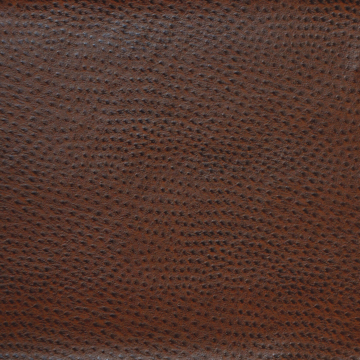delaney660-kravet-design-delaney-66-kravet-design - KRAVET DESIGN Fabric
