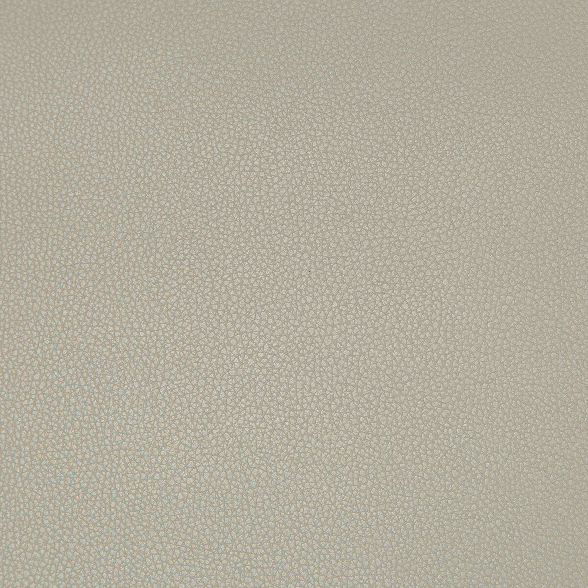 syrus11210-syrus-stingray-kravet-contract