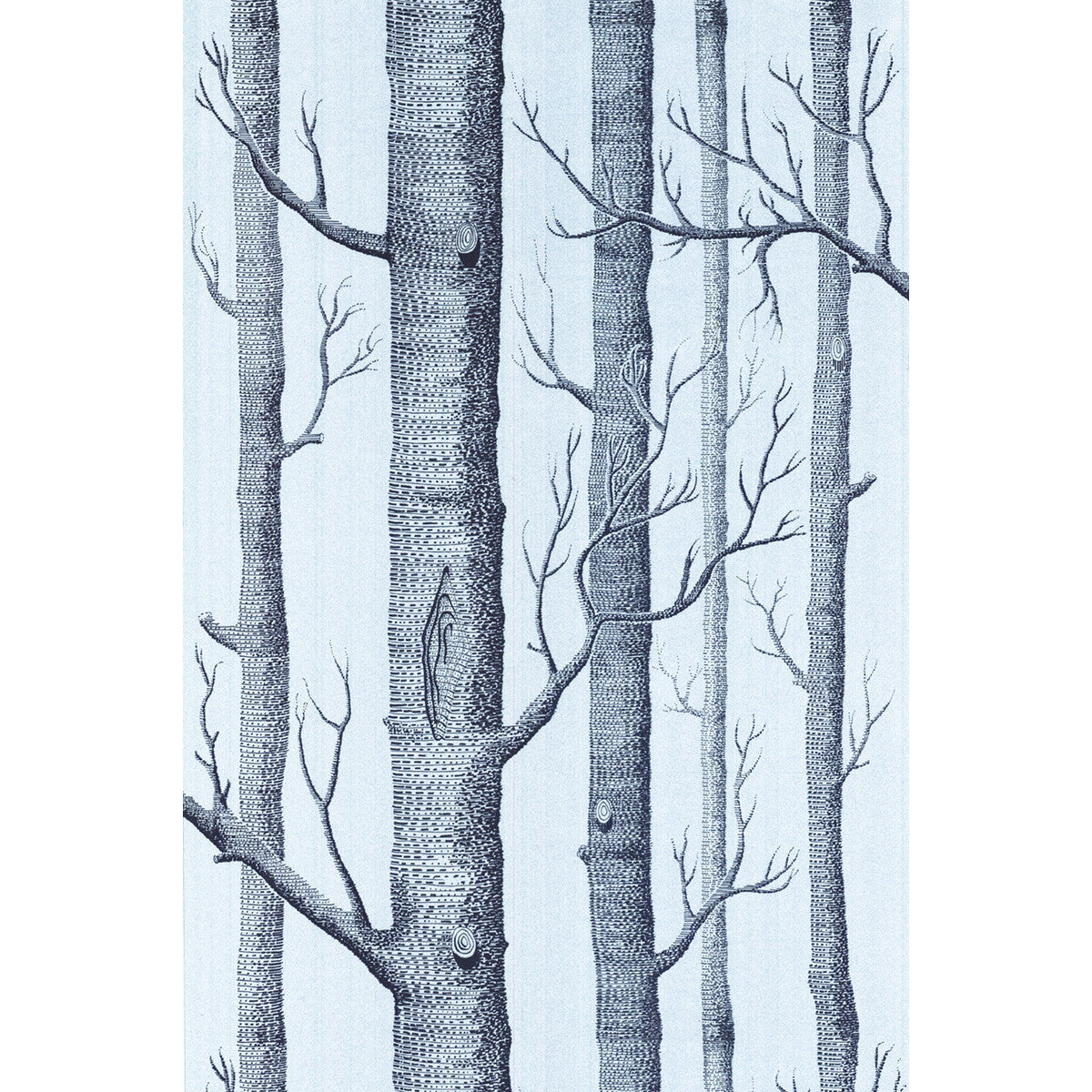 6912150cs0-woods-chocsilver-cole-son - COLE & SON Wallpaper