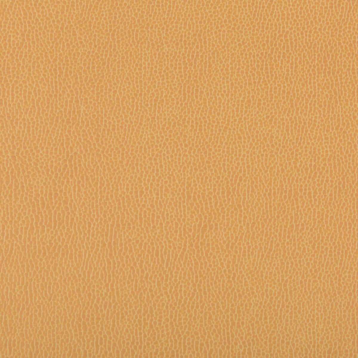 lenox40-lenox-camel-kravet-contract