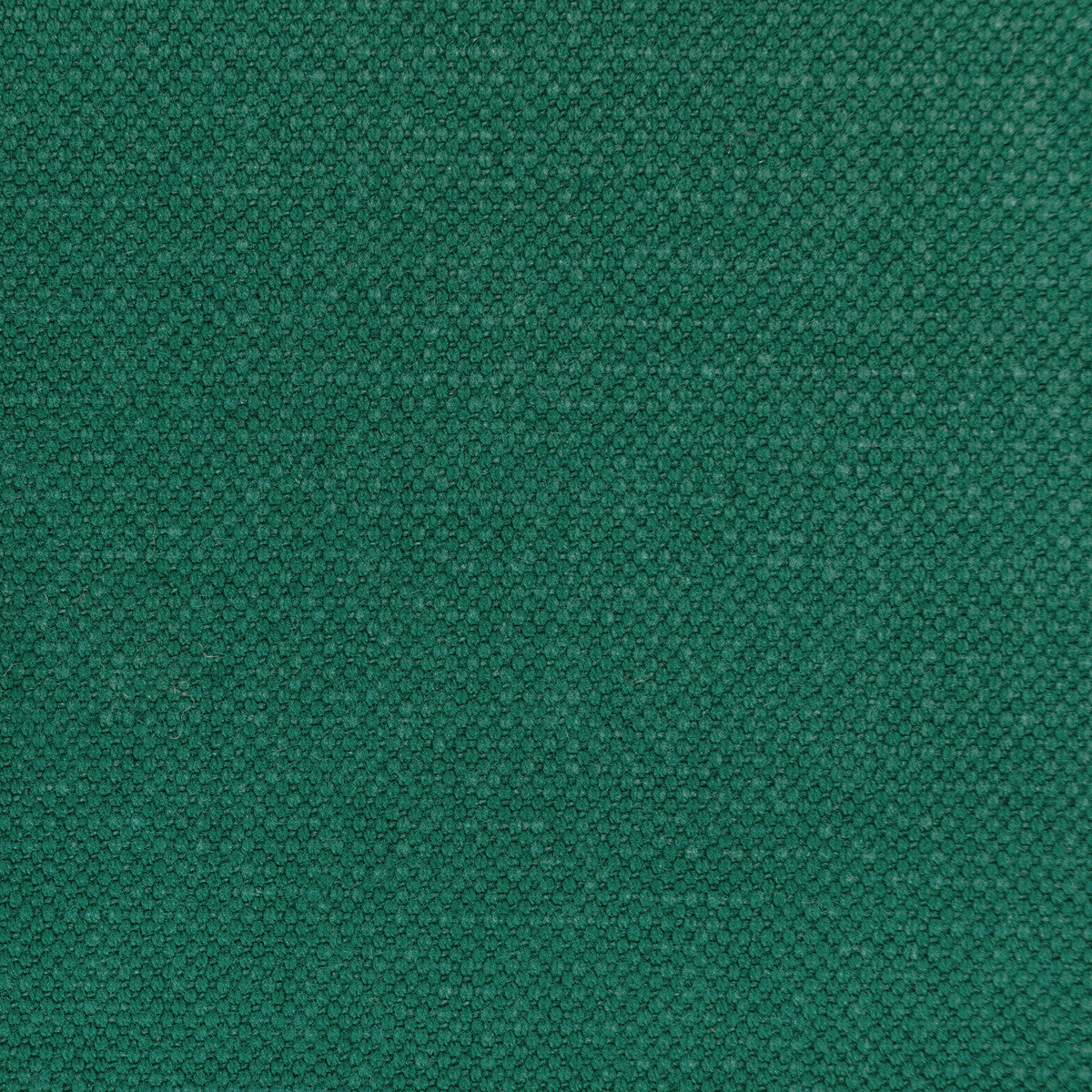 362823530-carson-garden-kravet-basics - KRAVET BASICS Fabric