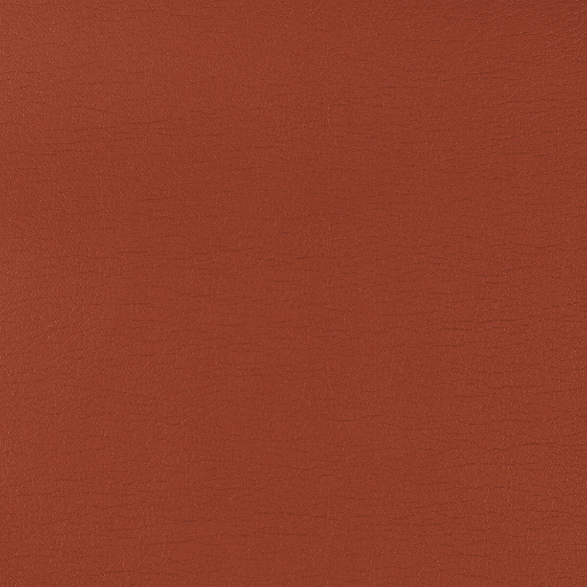 cara120-kravet-design-cara-12-kravet-design