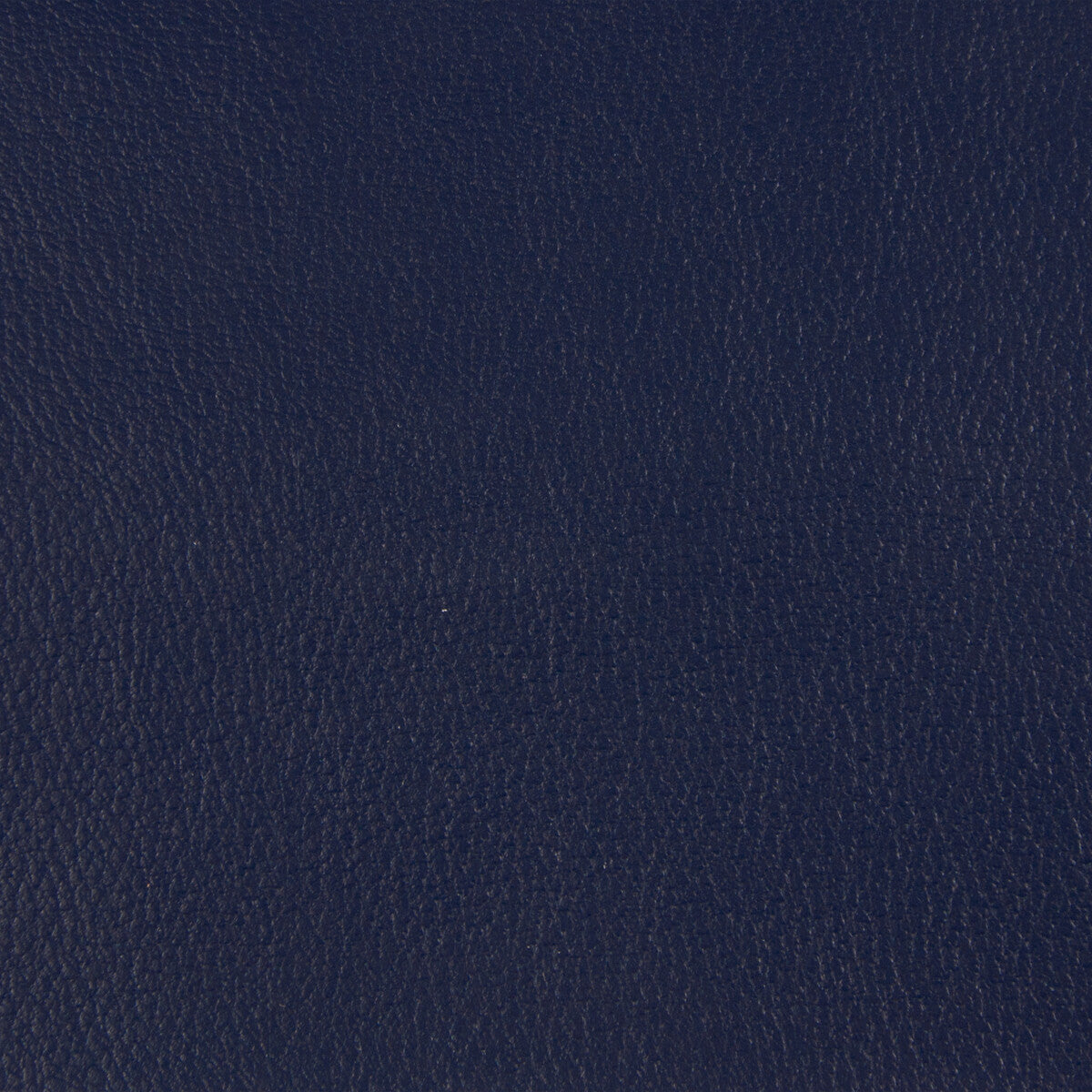 newt500-kravet-smart-newt-50-kravet-smart