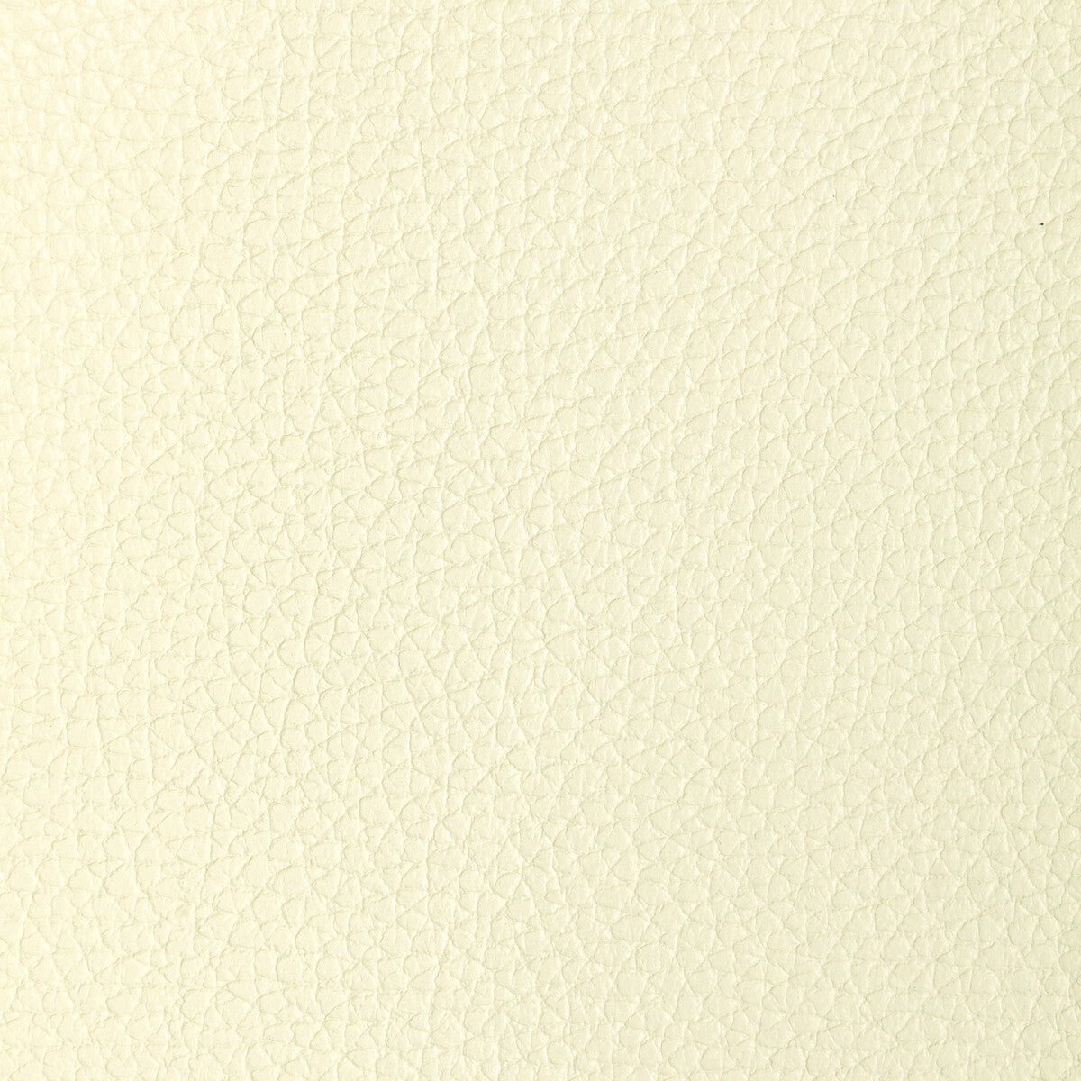 l-tucumivory0-kravet-design-l-tucum-ivory-kravet-design