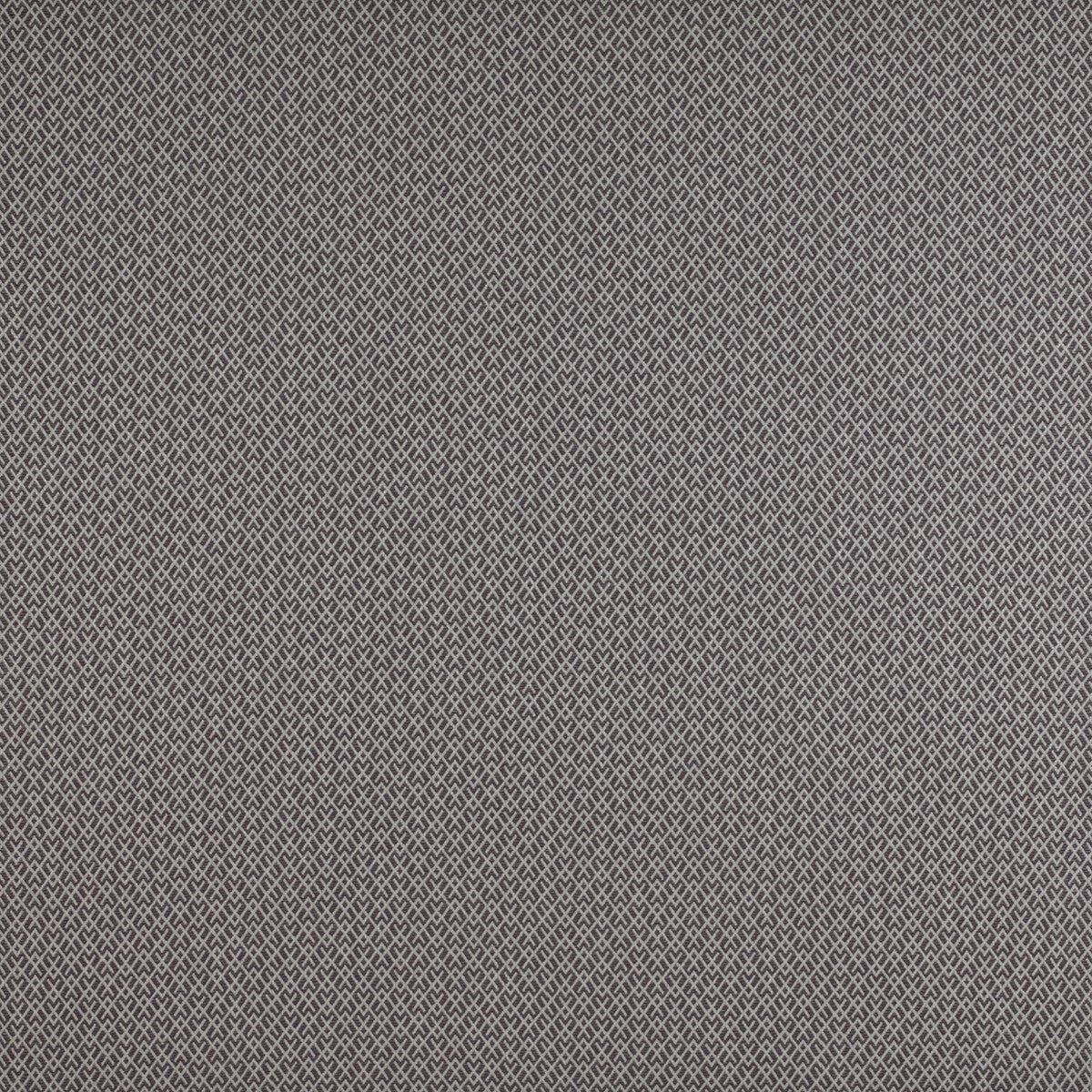 gdt52050040-chueca-berenjena-gaston-y-daniela