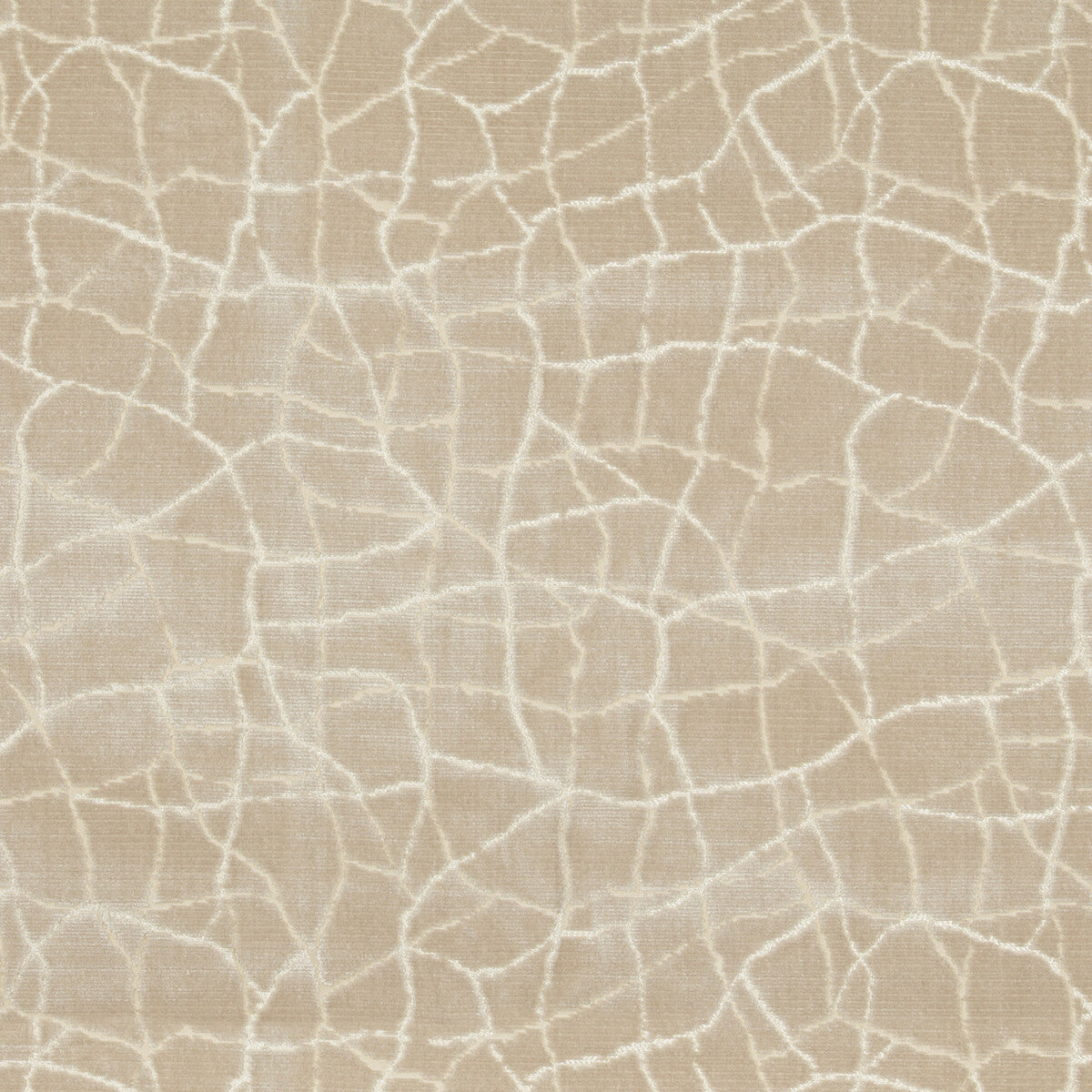 34780160-formation-champagne-kravet-couture