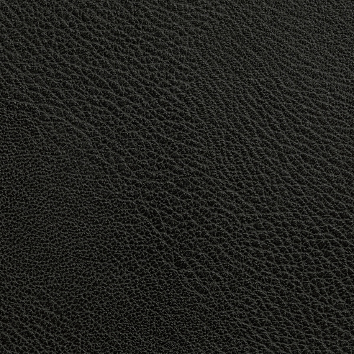 rustler80-rustler-stallion-kravet-contract