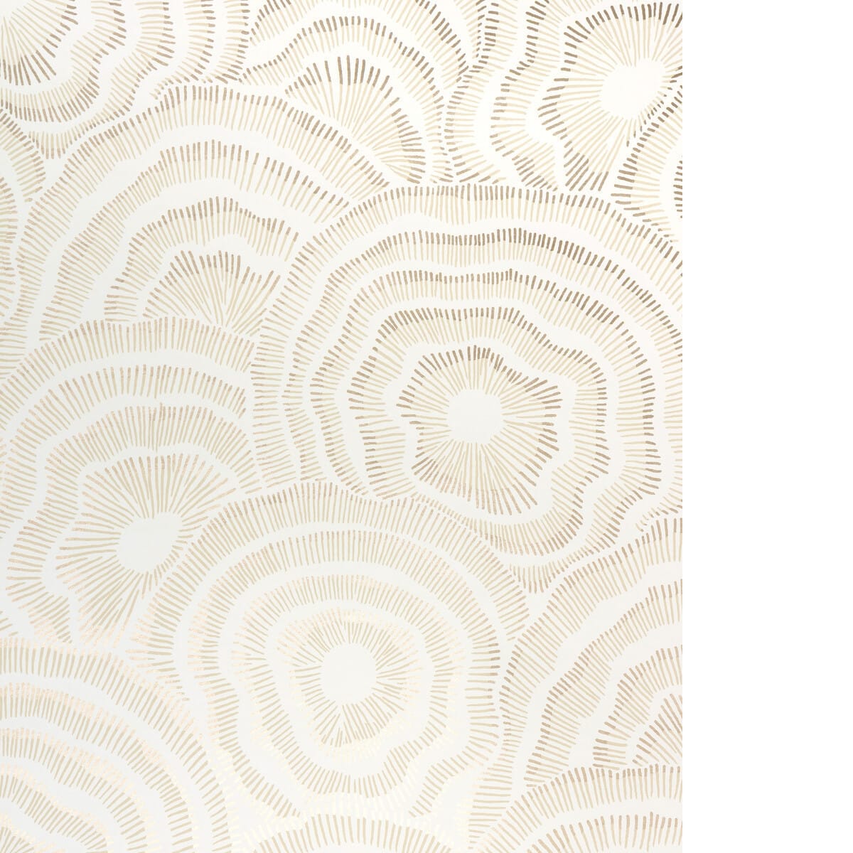 w382340-panache-wp-champagne-kravet-couture
