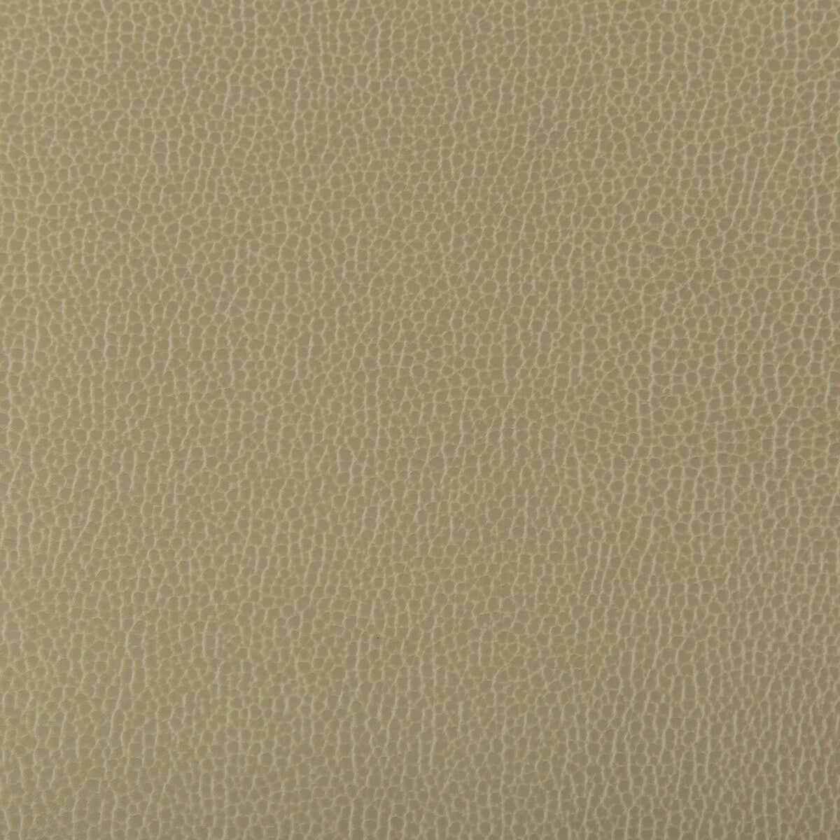 lenox1300-lenox-elm-kravet-contract
