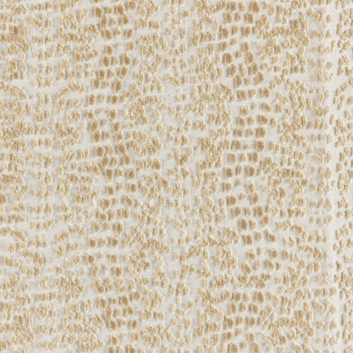 802510110-les-touches-velvet-ivory-brunschwig-fils