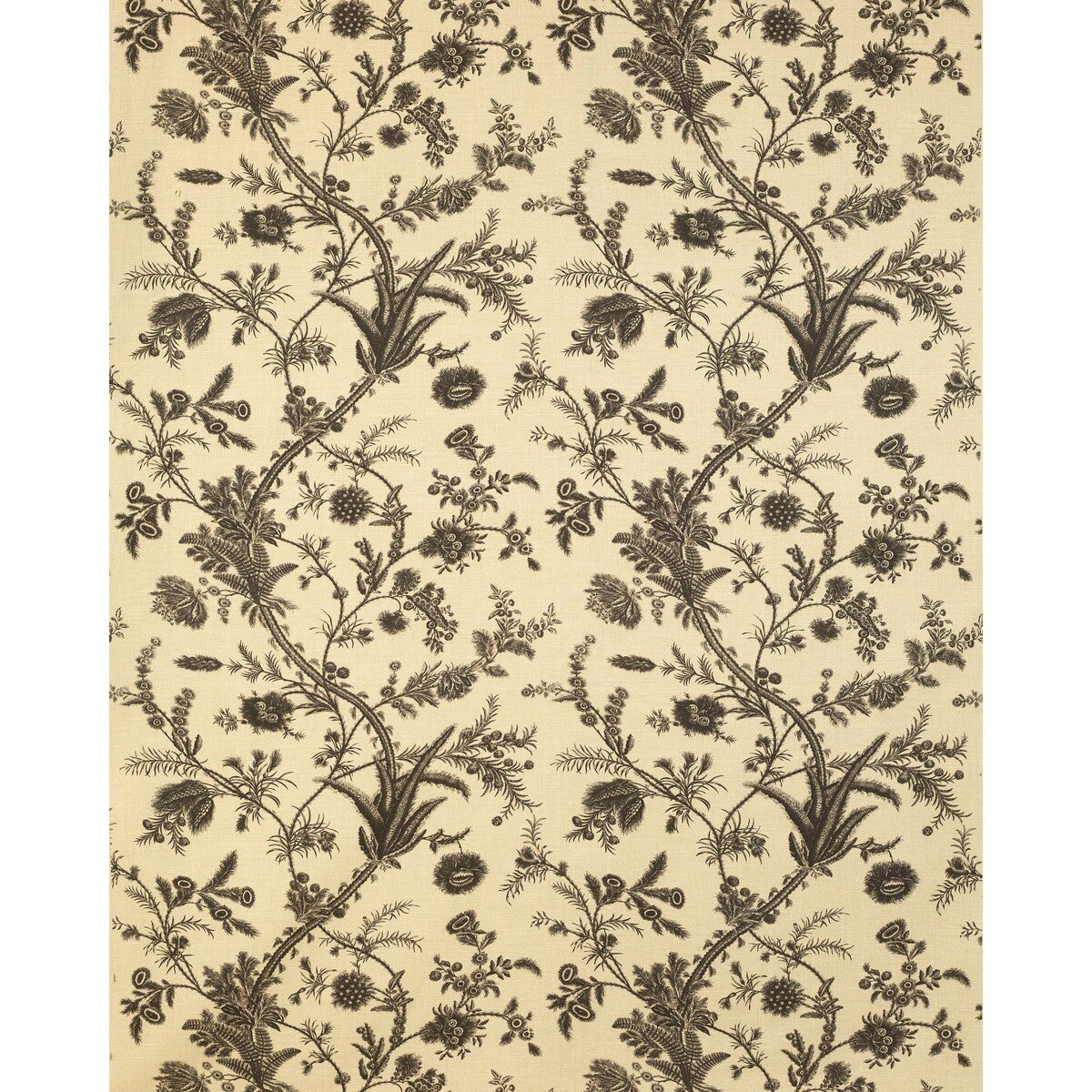 20221238160-plumes-black-lee-jofa