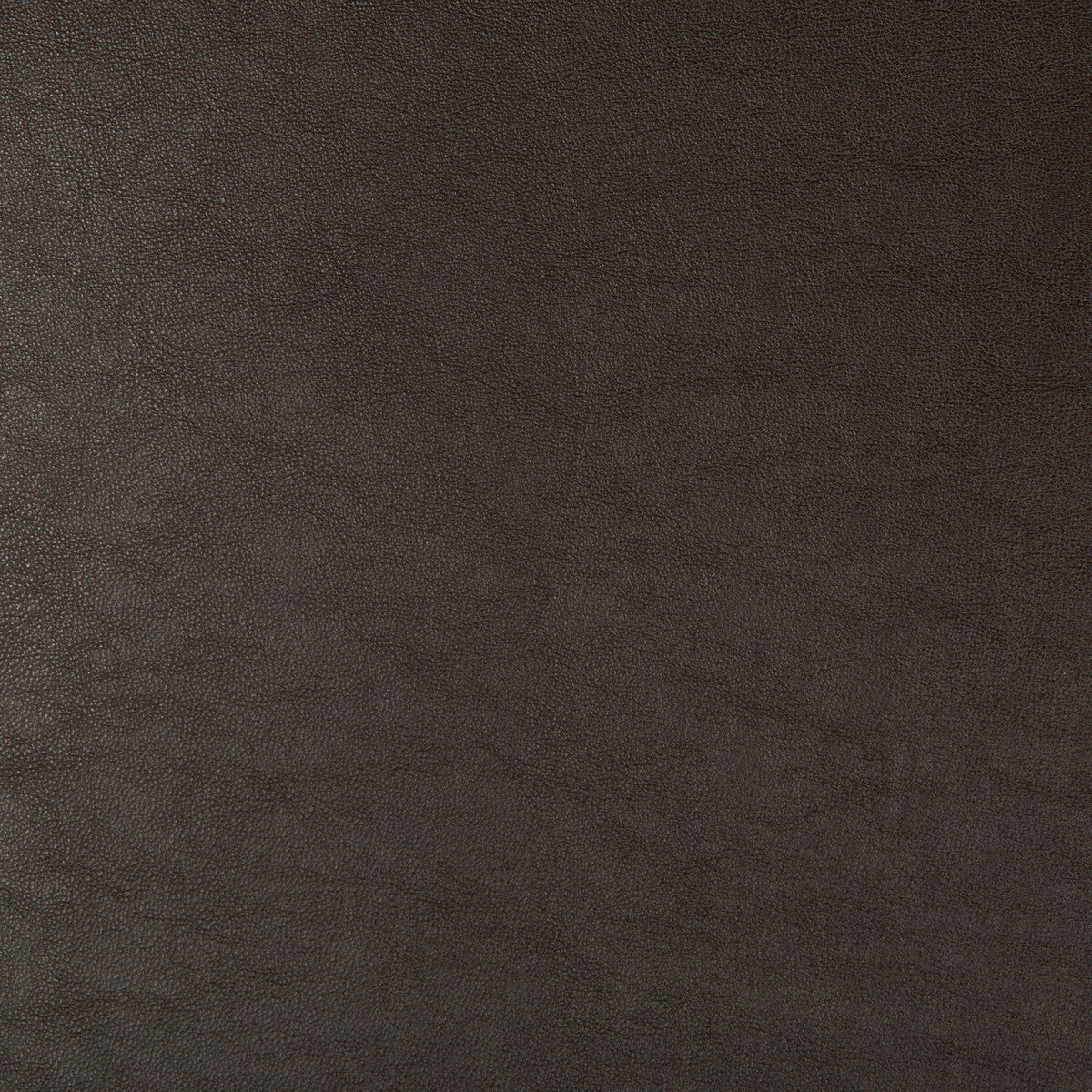 swaps660-kravet-design-swaps-66-kravet-design