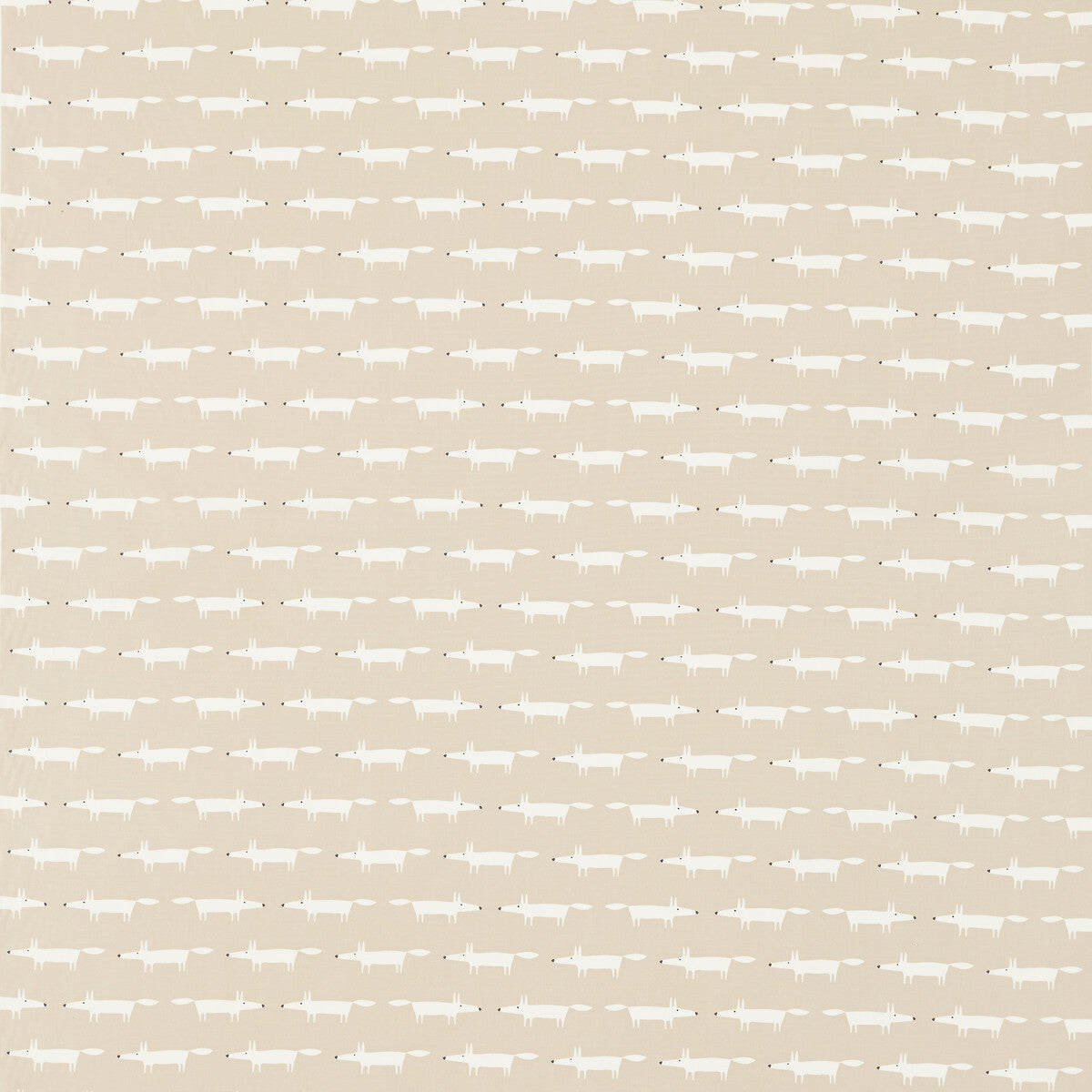 nsck120463scn0-little-fox-snow-scion