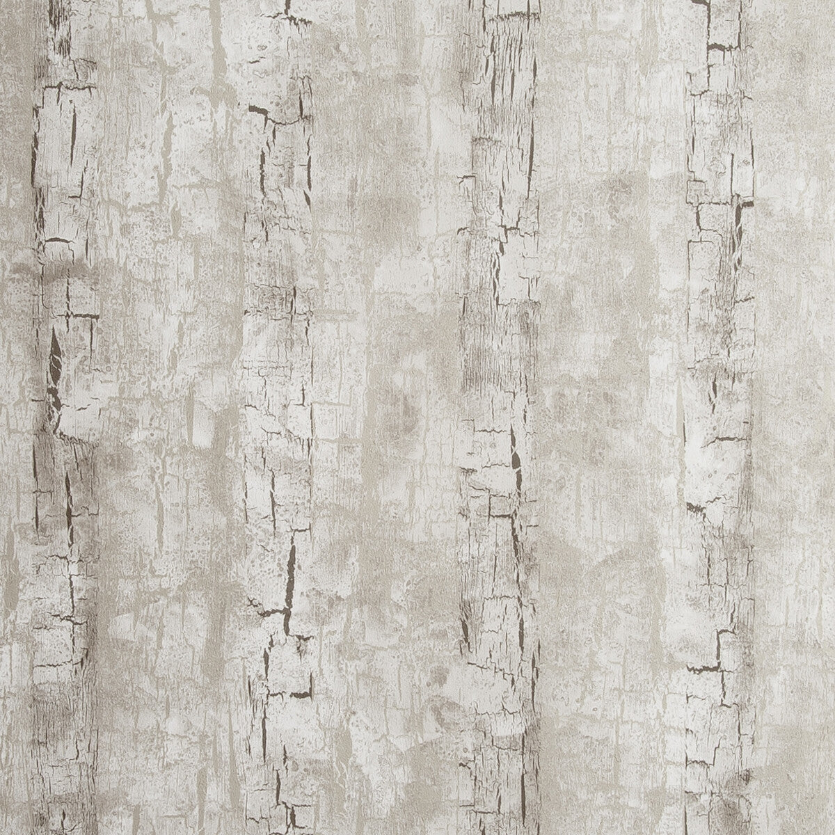 w006202cac0-tree-bark-birch-clarke-and-clarke