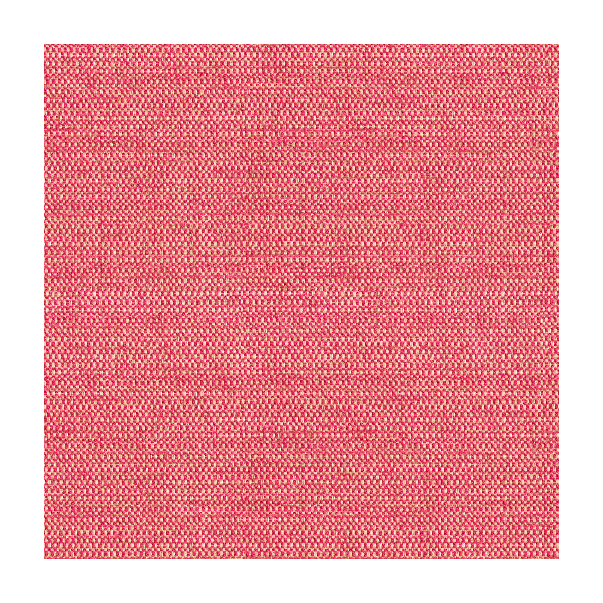3404970-tully-snapdragon-kravet-design