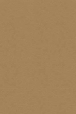 desire160-kravet-design-desire-16-kravet-design - KRAVET DESIGN Fabric