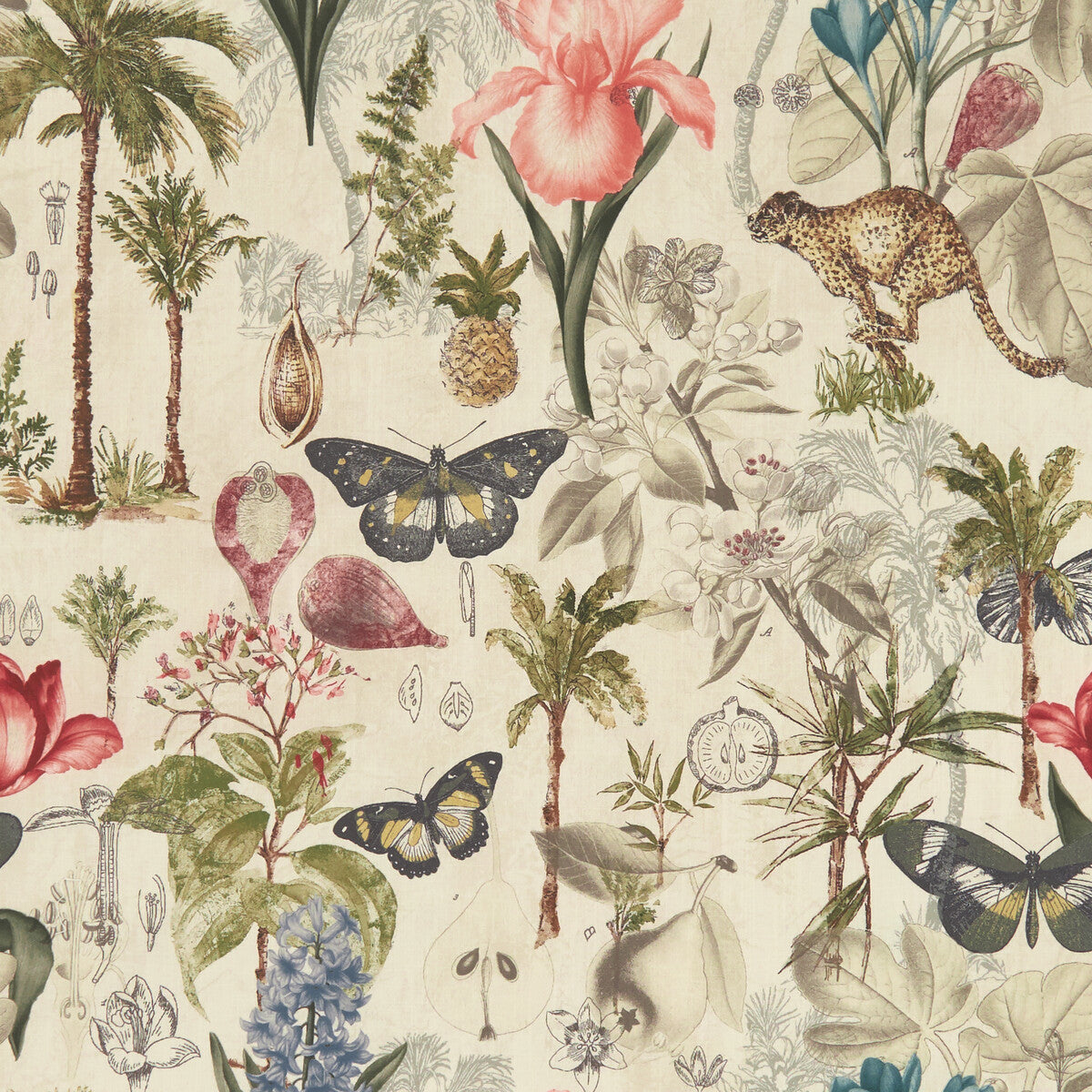 f129703cac0-botany-tropical-clarke-and-clarke