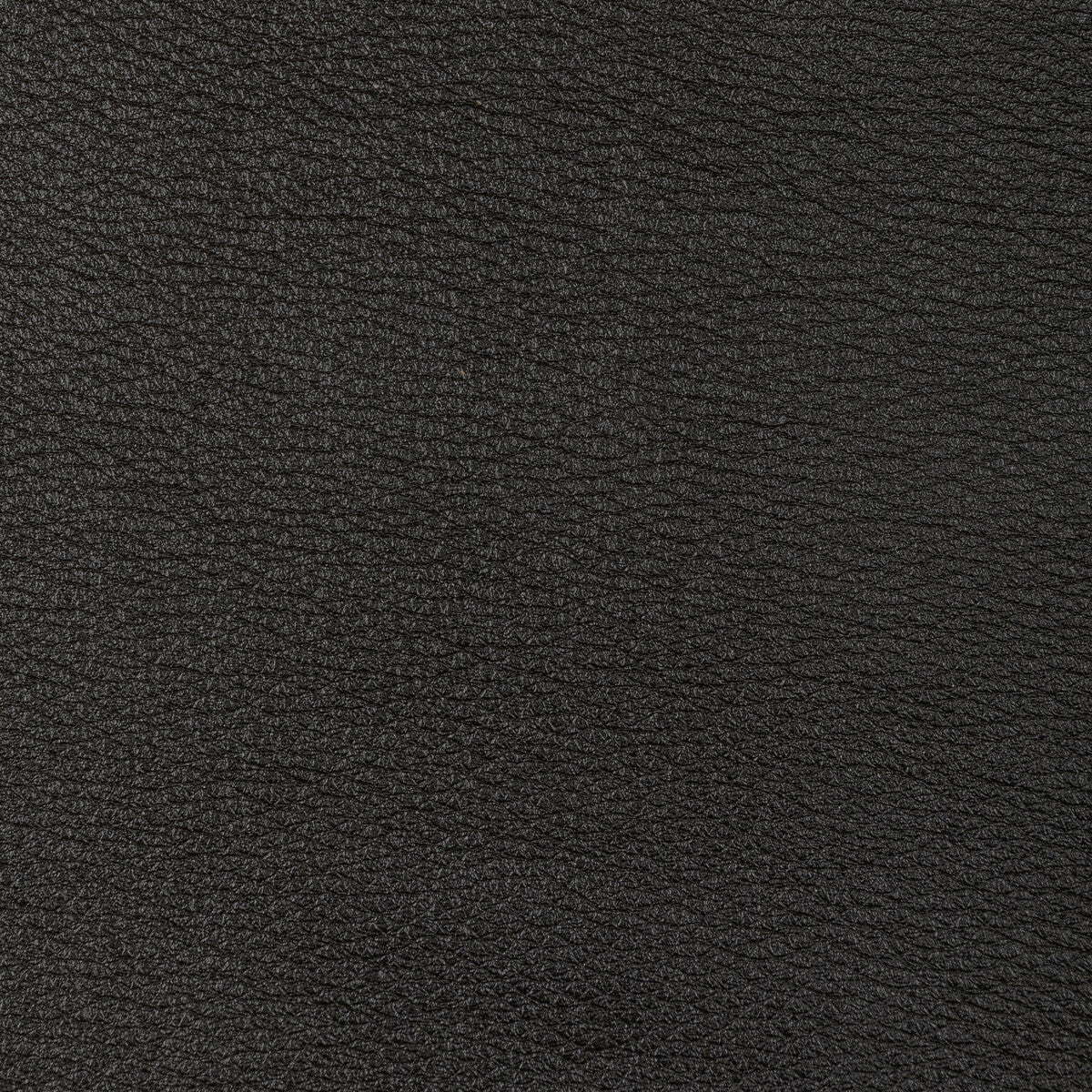 l-sonorancharcoal0-kravet-design-l-sonoran-charcoal-kravet-design