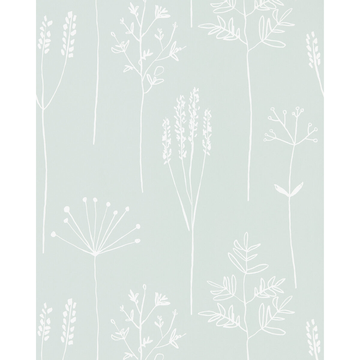 nzaw112020scn0-stipa-frost-scion