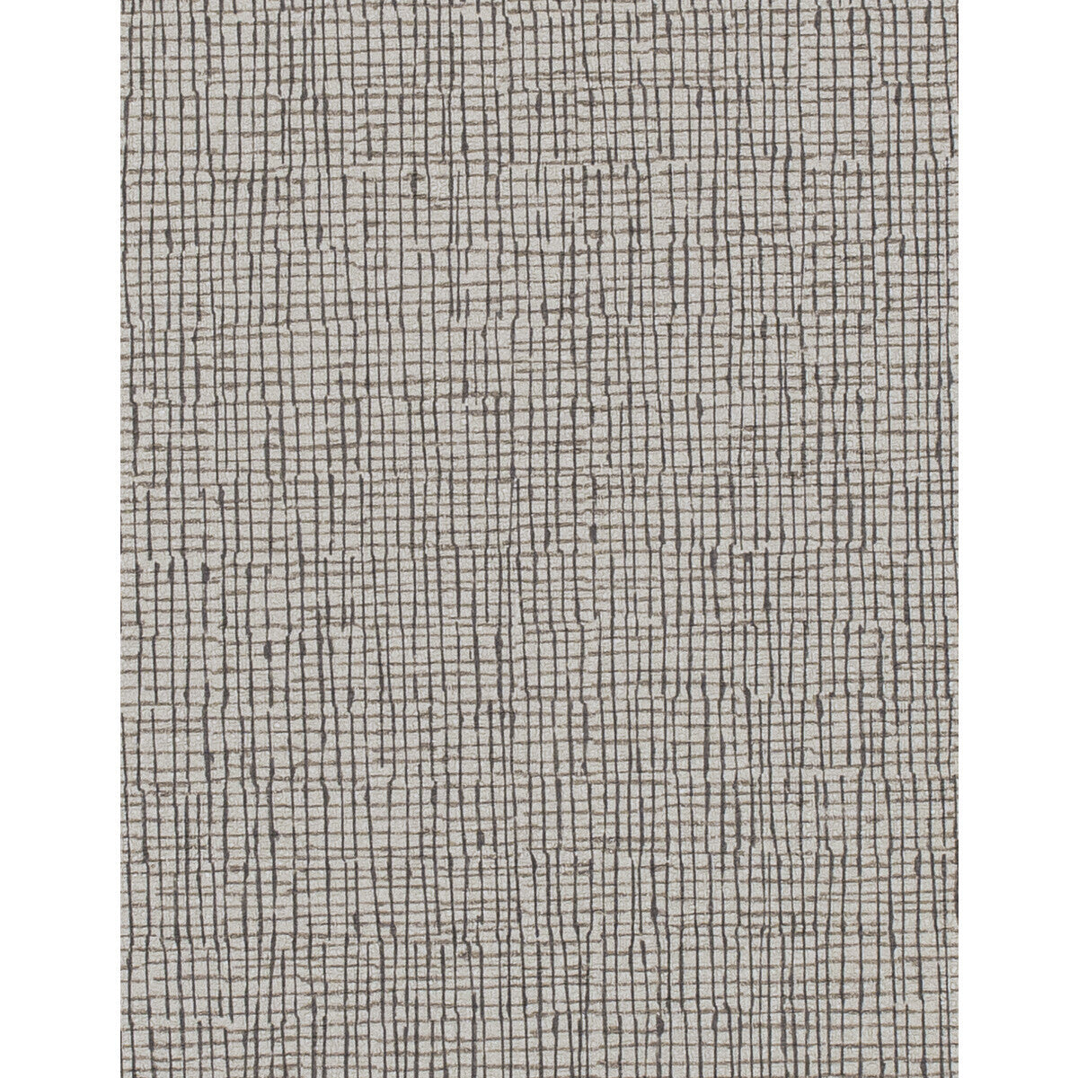 wtn1017wt0-canvas-fog-winfield-thybony