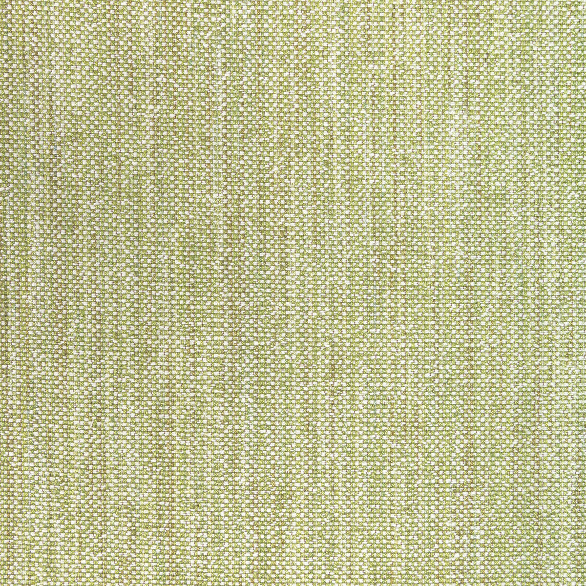 802211030-rospico-plain-leaf-brunschwig-fils