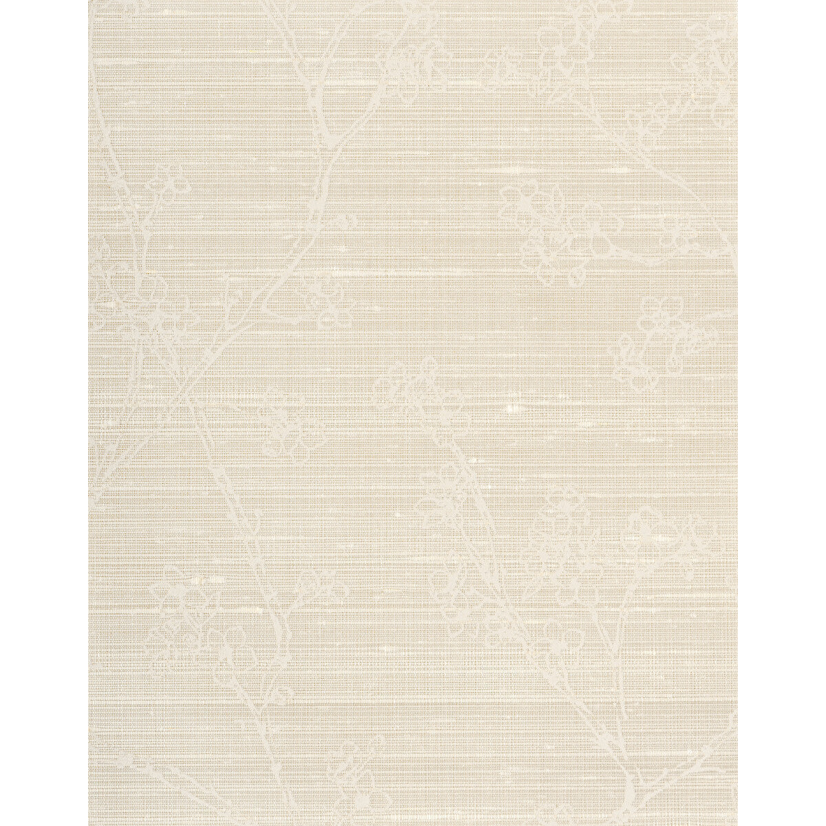 wns5507wt0-kaisa-cookie-winfield-thybony - WINFIELD THYBONY Wallpaper