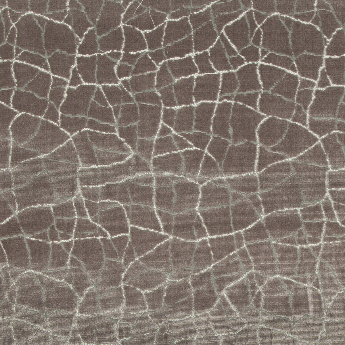 34780210-formation-mink-kravet-couture