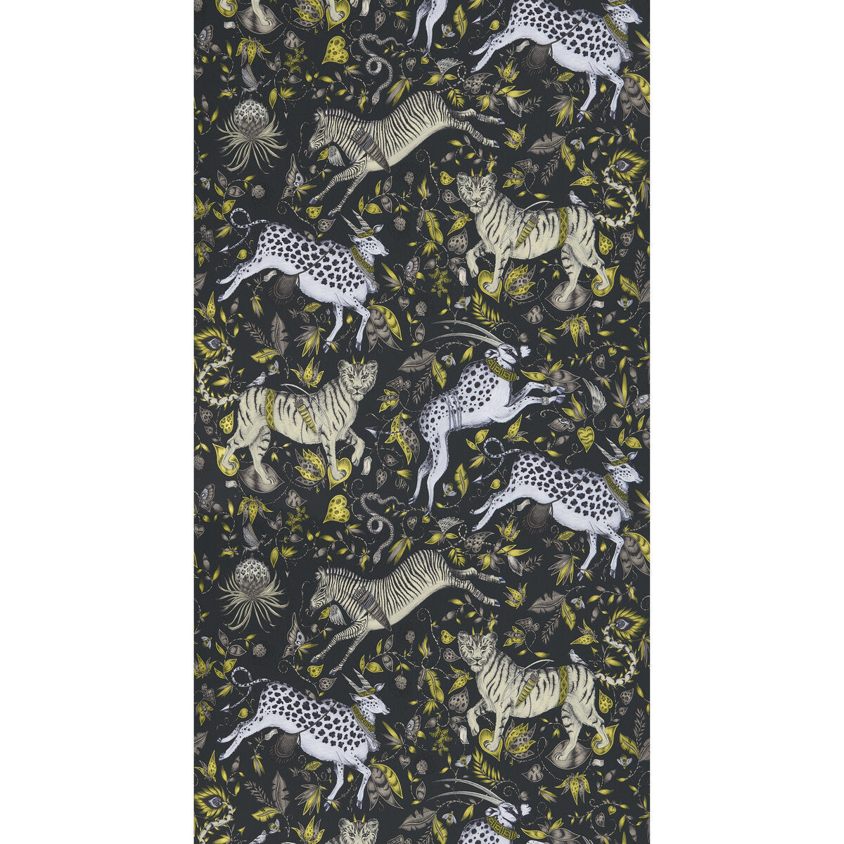 w011902cac0-protea-charcoal-clarke-and-clarke - CLARKE AND CLARKE Wallpaper
