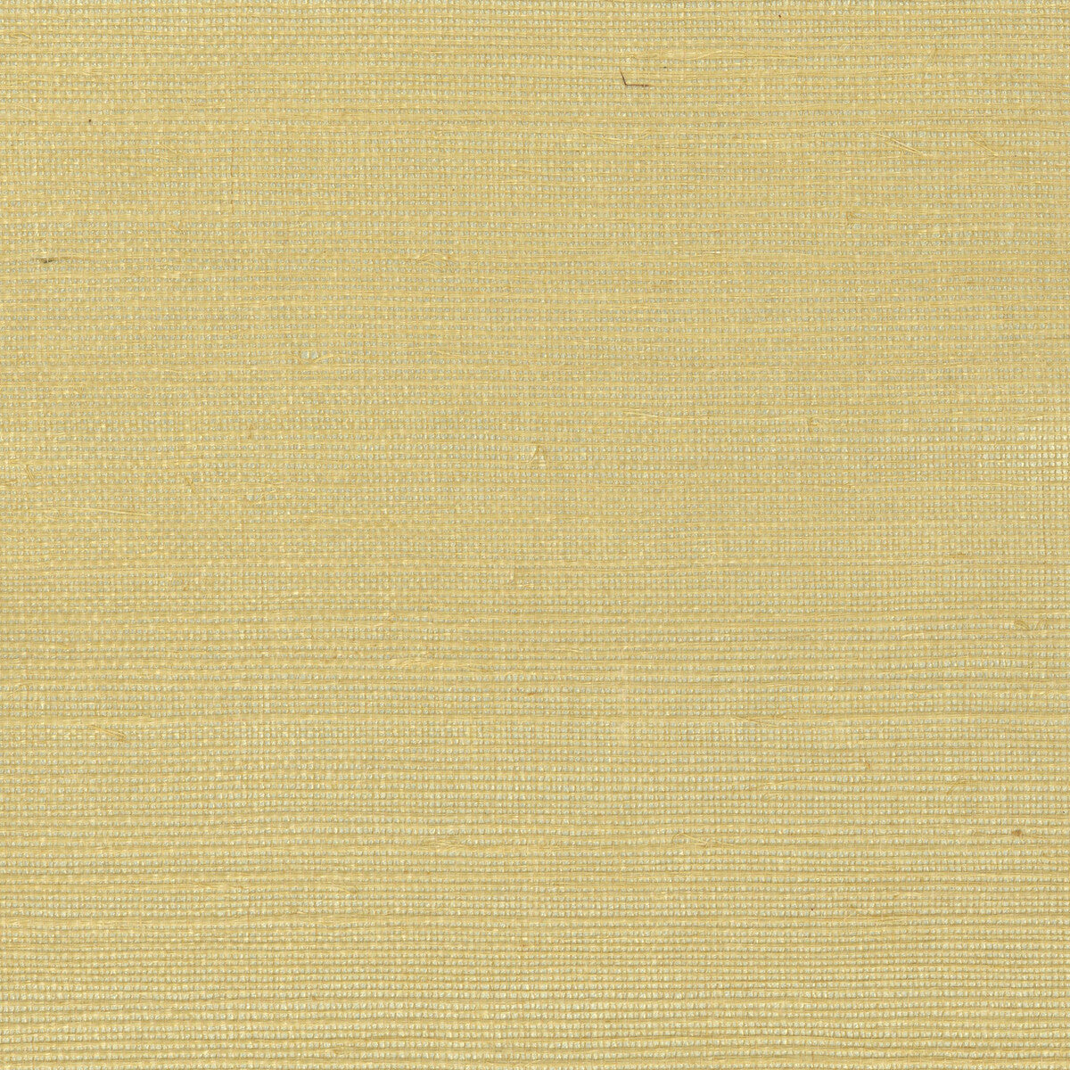 w4003400-kravet-design-w4003-40-kravet-design - KRAVET DESIGN Wallpaper
