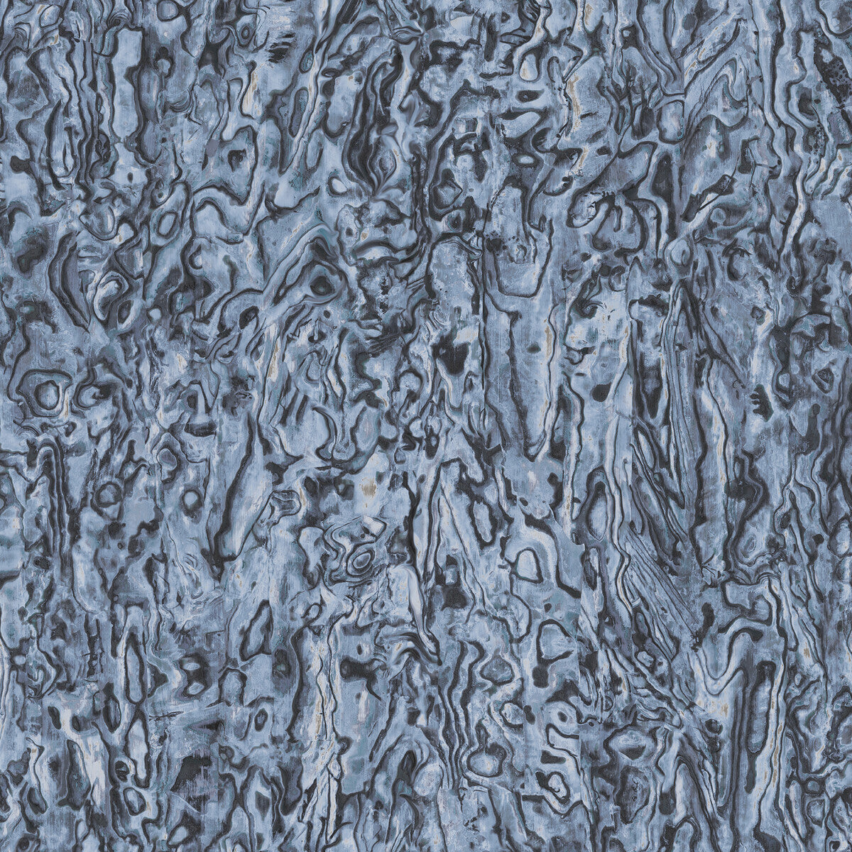 whf3801wt0-abalone-azure-winfield-thybony - WINFIELD THYBONY Wallpaper