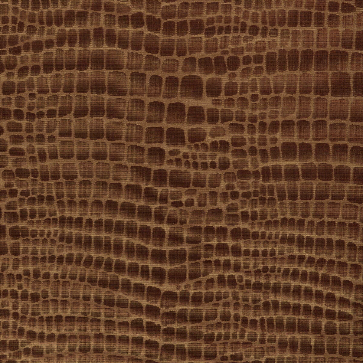 8023140120-croc-velvet-amber-brunschwig-fils