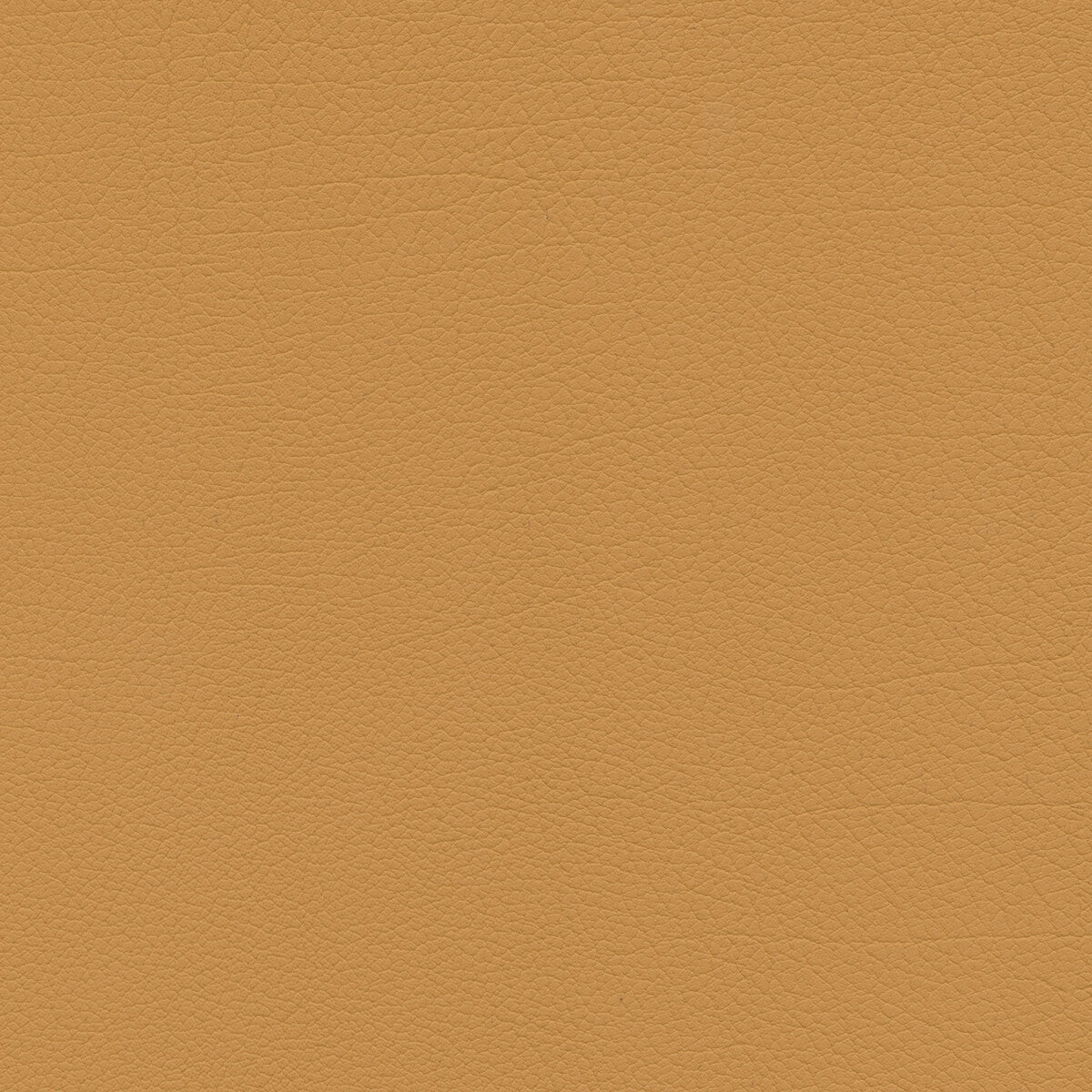 sumac640-kravet-design-sumac-64-kravet-design